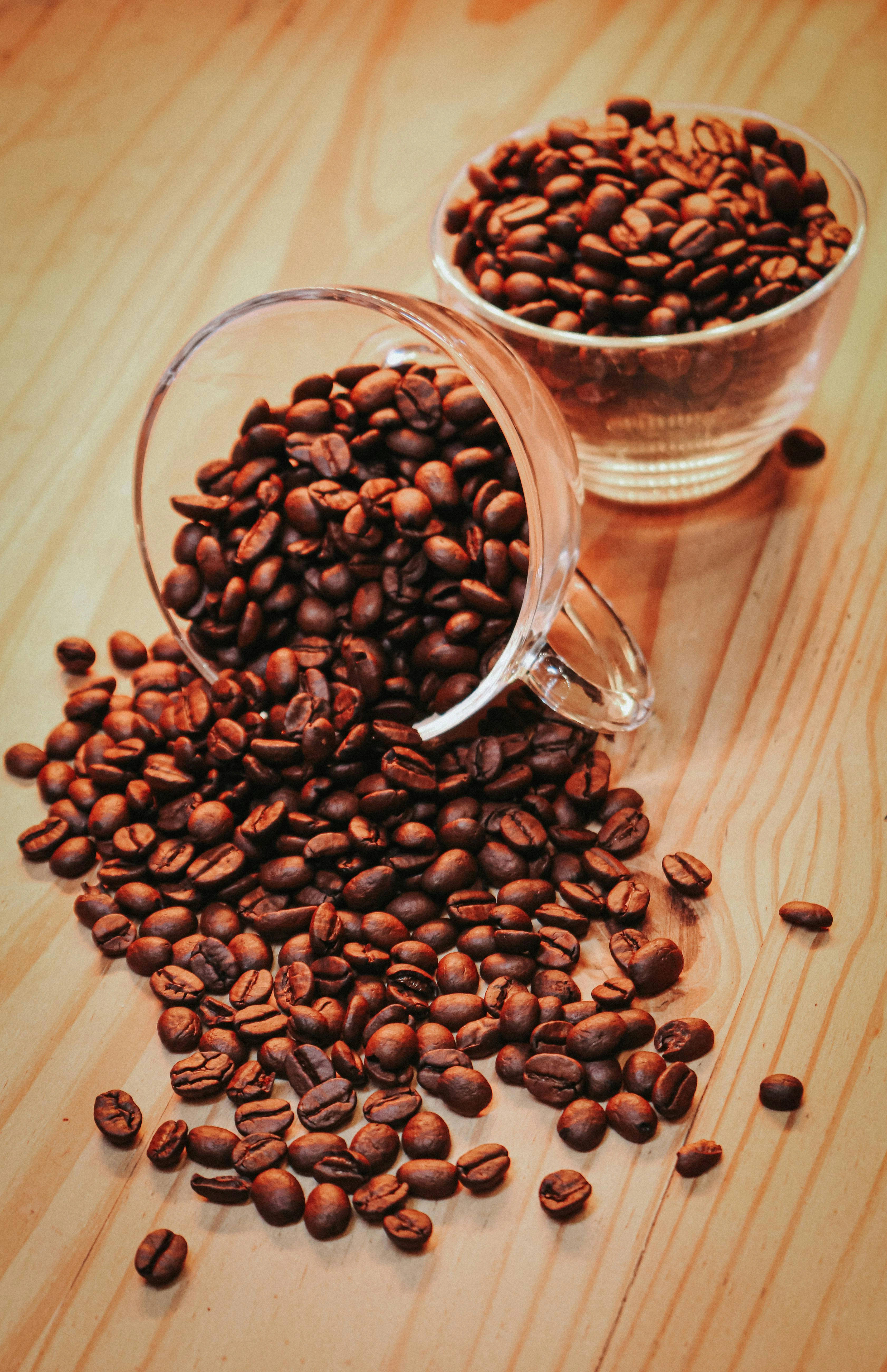 Premium Coffee